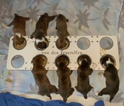 Ferrja-20230104-ebd_250