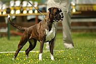 Hannah vom Hirscher-Hof