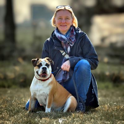 Schlander-Bulli-112-400