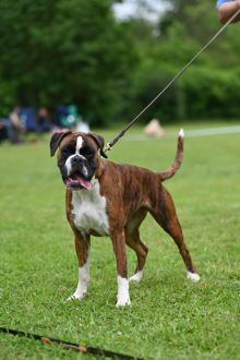 Schlander-Izumi-2025-01-27 um 17.51.09_f655c784-220