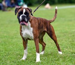 Schlander-Izumi-2025-01-27 um 17.51.09_f655c784 3-250