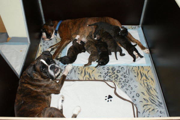 Oma, mama und Kinder