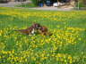 Hannah und Gina
