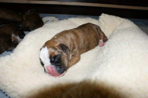 Die Decke ist kuschelig