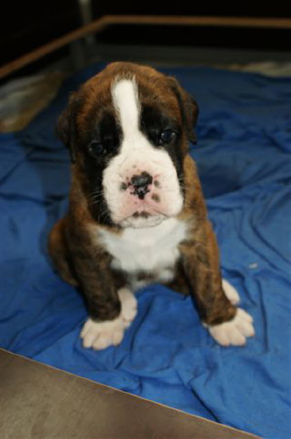 Ich kann schon sitzen