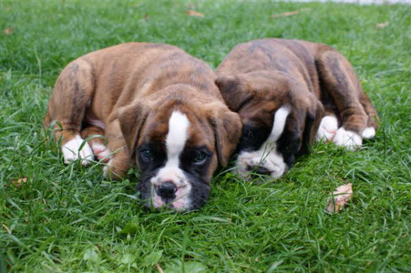 Was stellen wir als nchstes an?