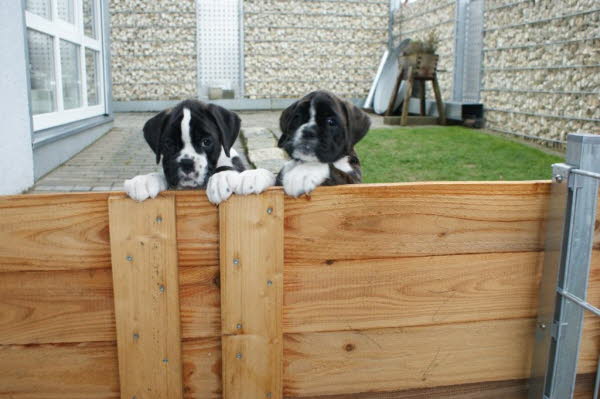 Wo ist unser Personal