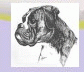 Link zum BK M�nchen
